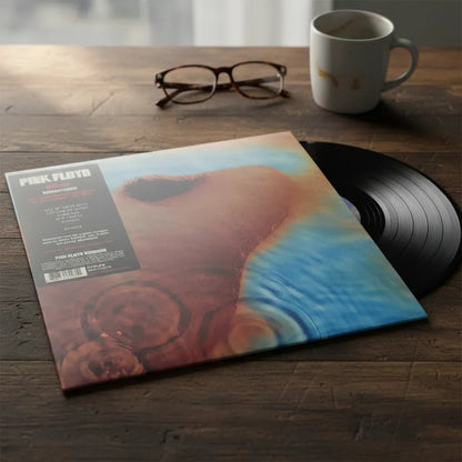 Pink Floyd Meddle Lp Acetato Vinyl