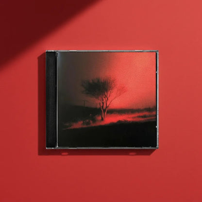 Joji Piss In The Wind Disco Cd Álbum Cd