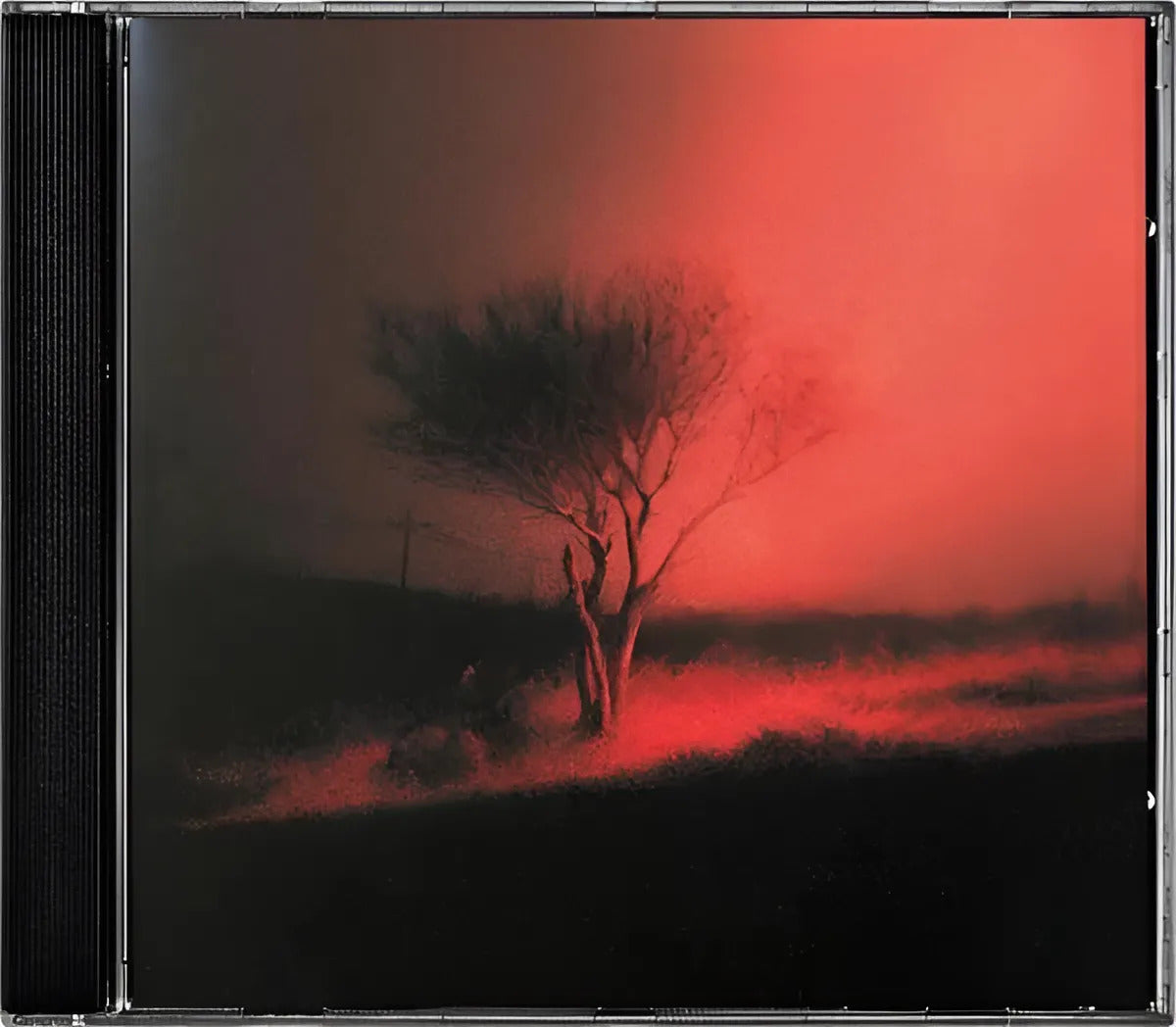 Joji Piss In The Wind Disco Cd Álbum Cd