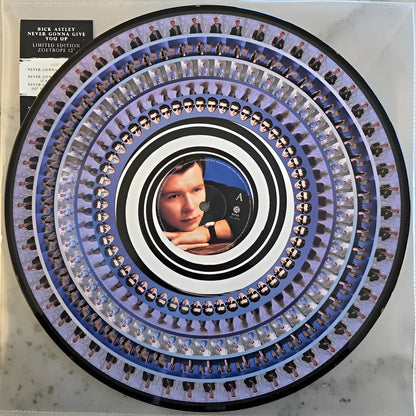 Rick Astley Never Gonna Give You Up Lp Vinyl