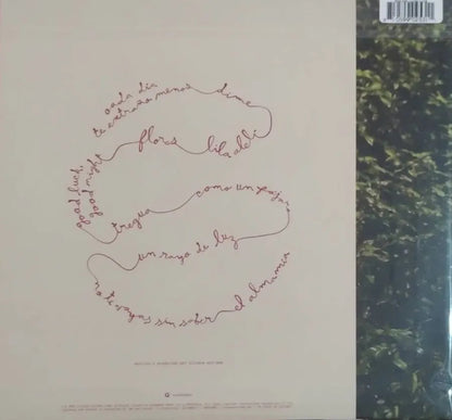 Silvana Estrada Vendran Suaves Lluvias Rsd Lp Vinyl