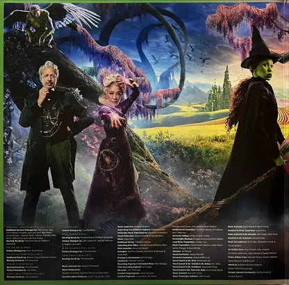 Wicked The Soundtrack Ariana Grande 2 Lp Vinyl