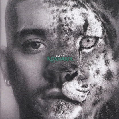 Zayn Konnakol Album 2026